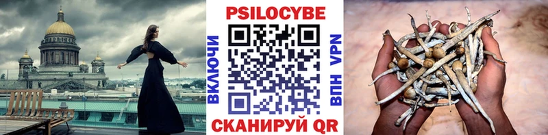 Галлюциногенные грибы Psilocybe  hydra рабочий сайт  Нурлат 